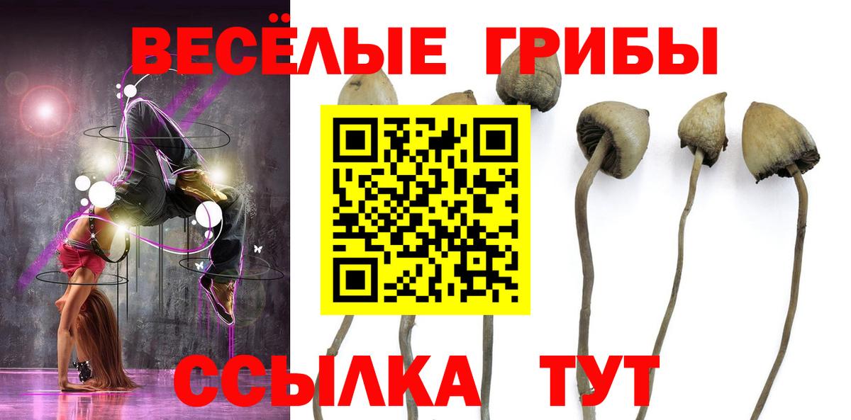 Галлюциногенные грибы Cubensis  Вход с VPN  Самара 